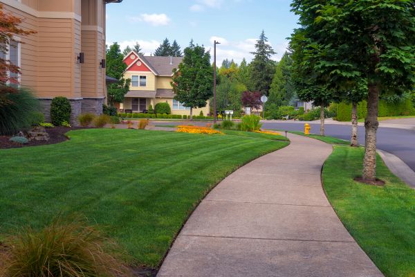 Cost of Sidewalk Patching in Mansfield